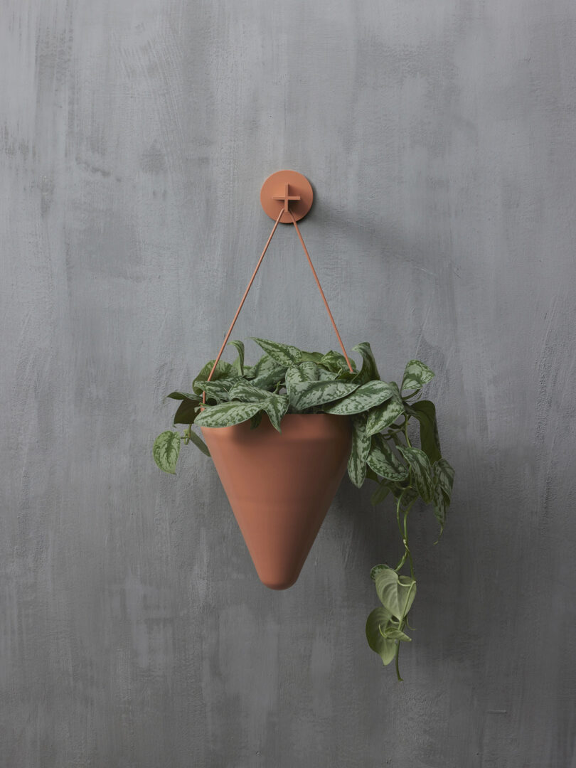 A terracotta cone-shaped pot with green trailing plants is hanging on a gray textured wall by a string attached to a small round hook.