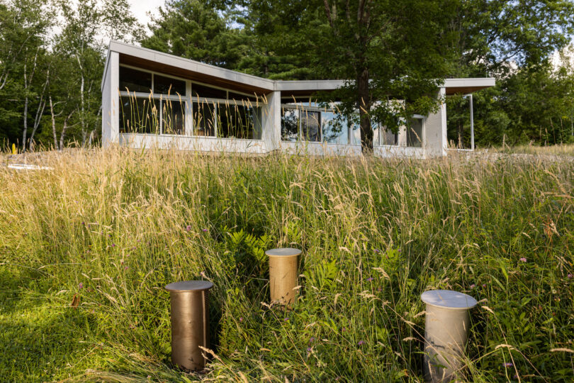 A modern white house with large windows is partially hidden by tall grass and trees. Three cylindrical metallic structures are in the foreground among the grass