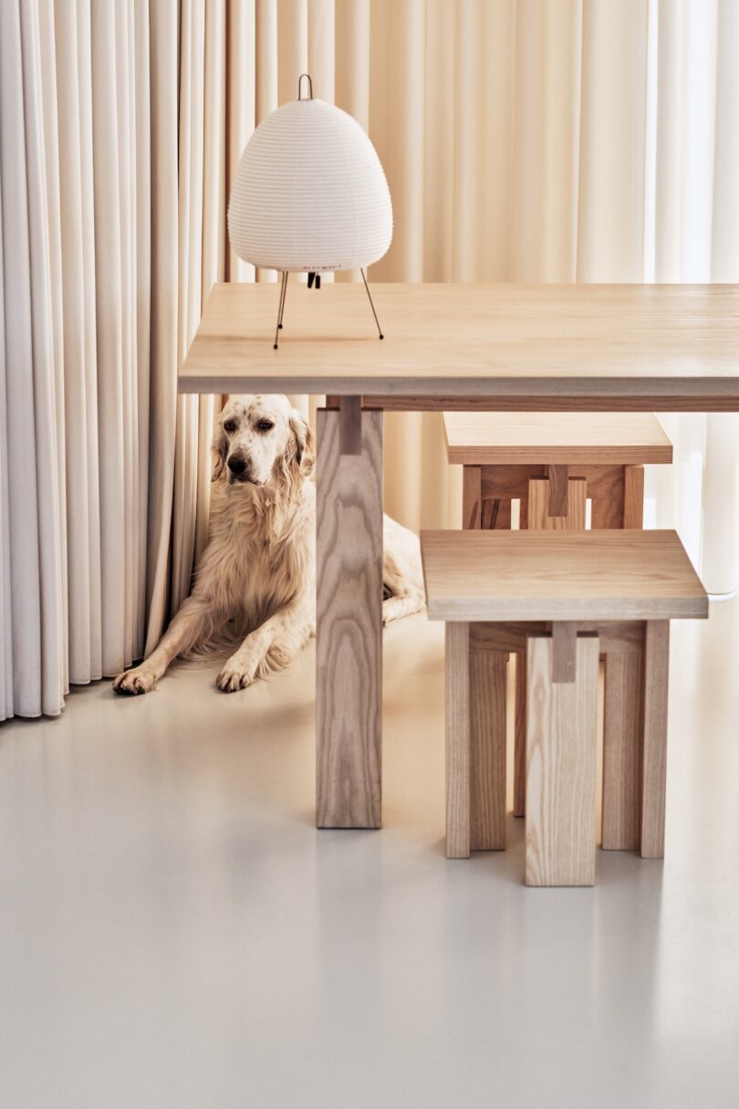 A golden retriever lies on the floor next to beige curtains. A modern wooden dining table with matching stools and a white lamp is in the foreground