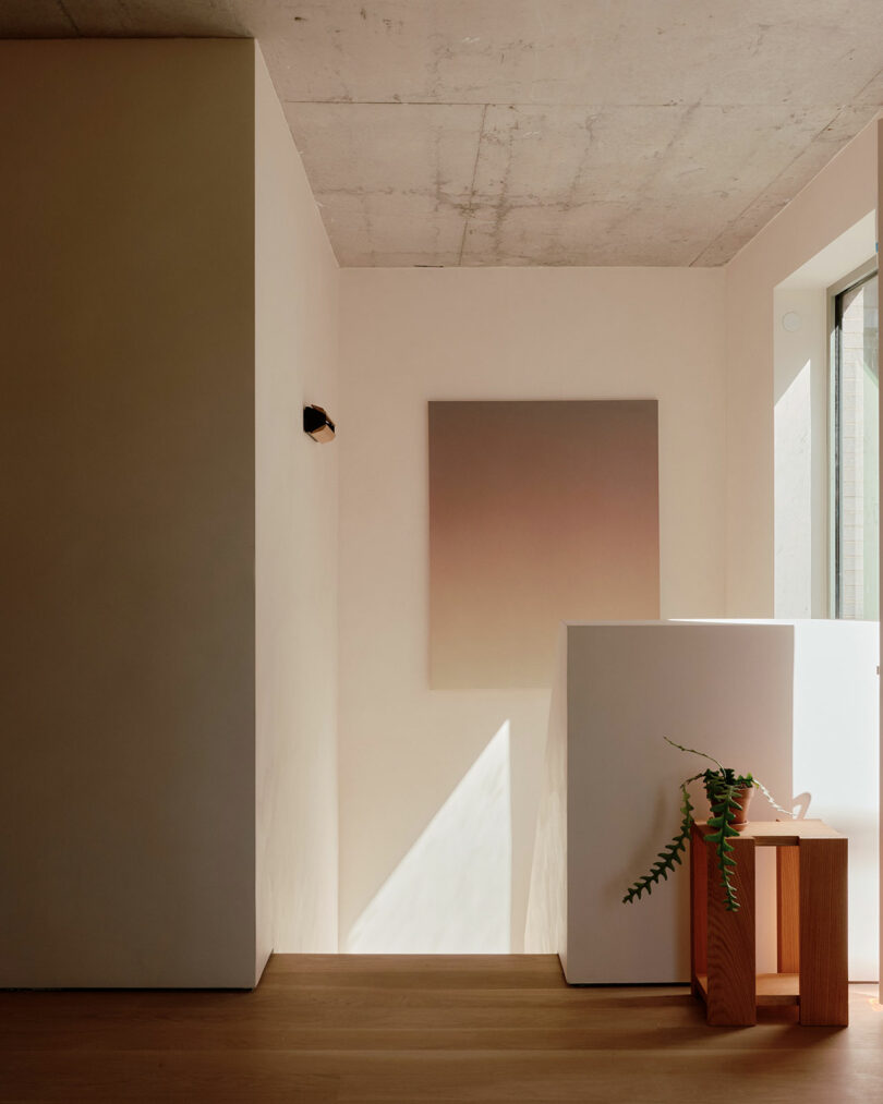 Minimalist interior with a gradient wall art, small plant on a wooden stand, and natural light casting shadows through a window.