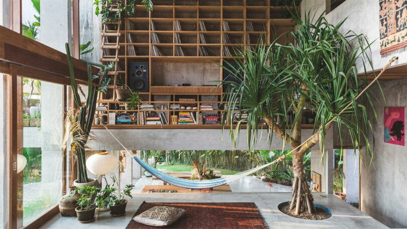 Cozy room with a hammock, wooden shelves filled with books and records, plants, and large windows overlooking greenery.