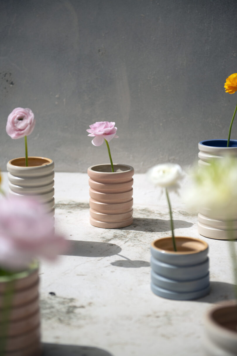 Ceramic vases with ribbed textures hold single flowers, arranged on a sunlit surface against a gray background