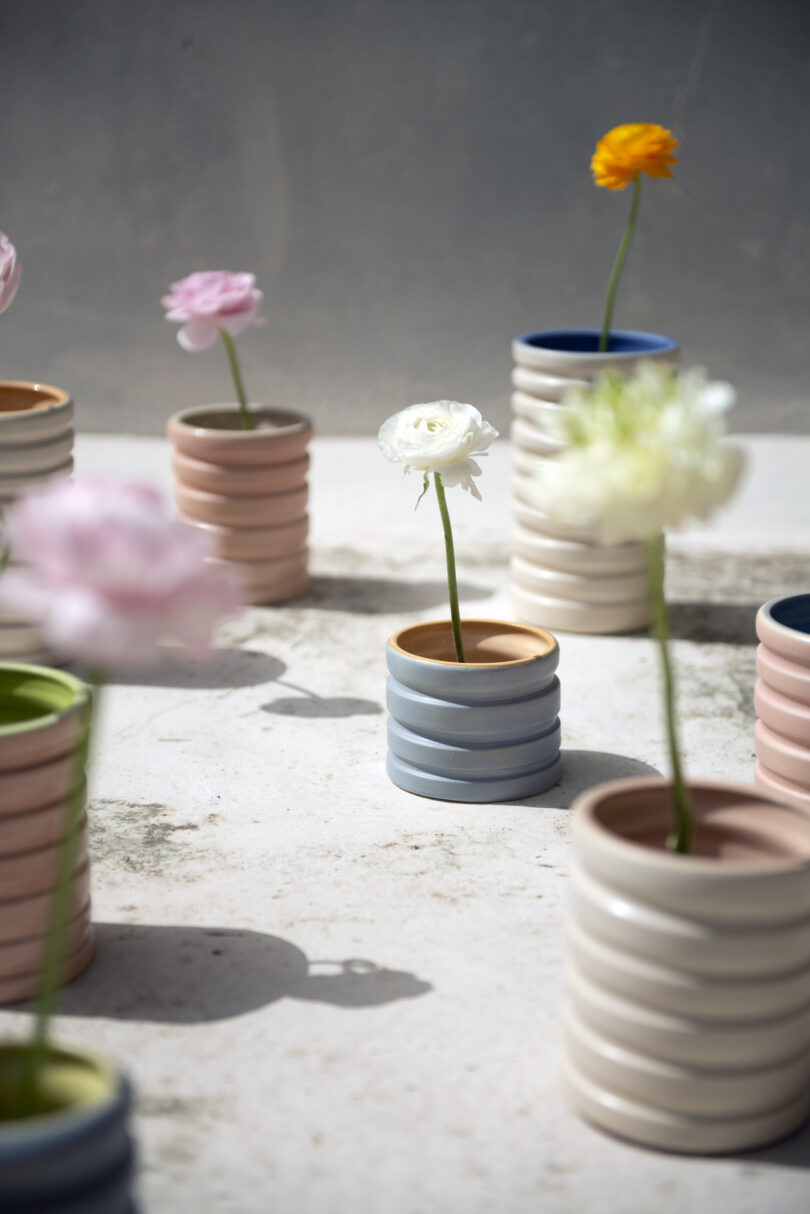 Simple ceramic vases with single flowers in pastel colors are arranged on a concrete surface in sunlight