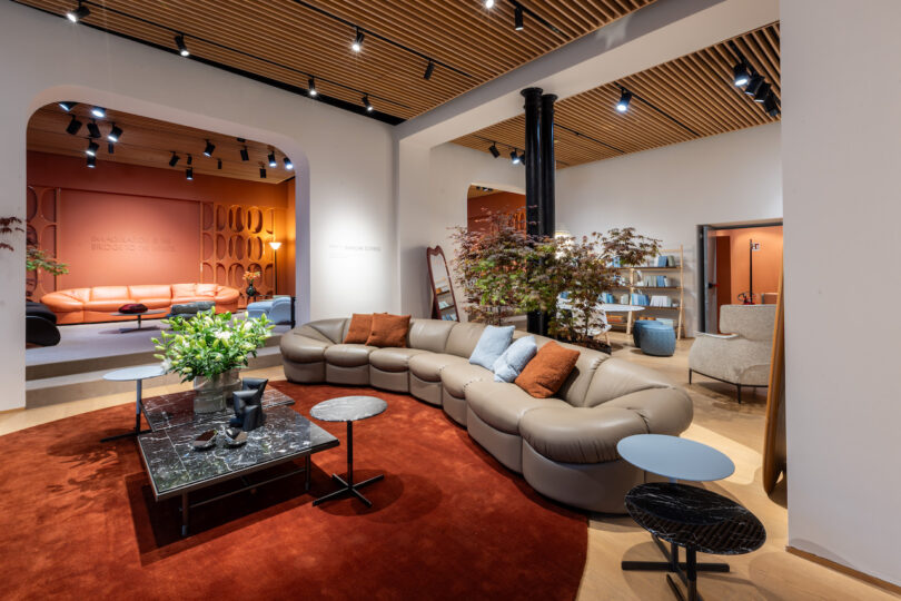 Modern living room with a curved gray sofa, black marble coffee table, and decorative plants on a red rug. Shelves are in the background under track lighting