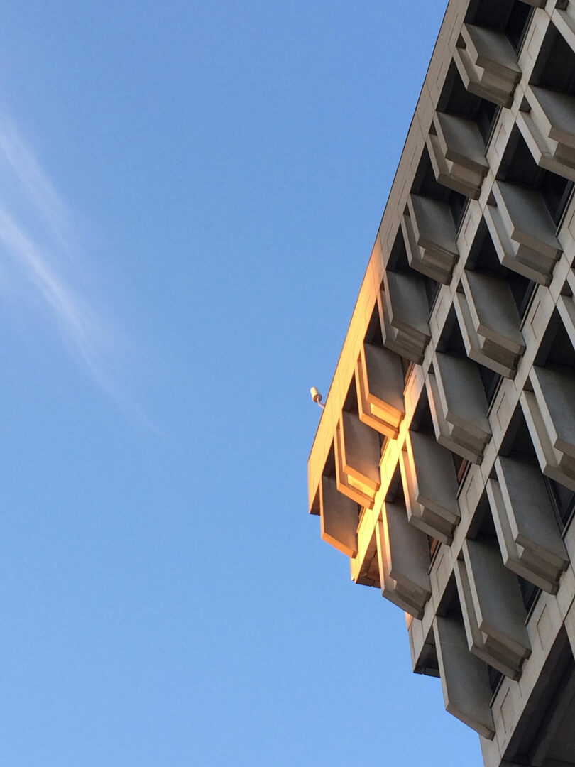 A bird sits on the edge of a concrete building against a clear blue sky.