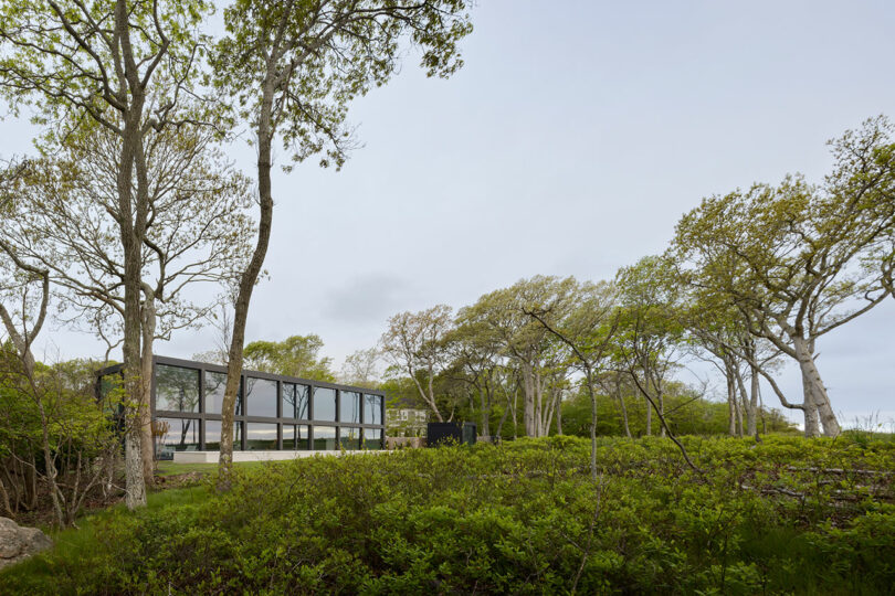 A modern glass building stands amid lush greenery and tall trees under a cloudy sky.