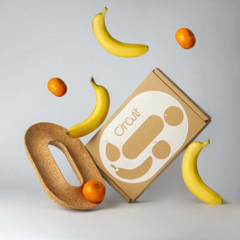Cardboard box with "Circuit" logo, surrounded by floating bananas and oranges, next to a brown, oval-shaped object with a central handle cutout