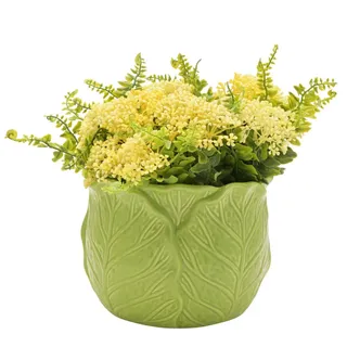 Cabbage Planter