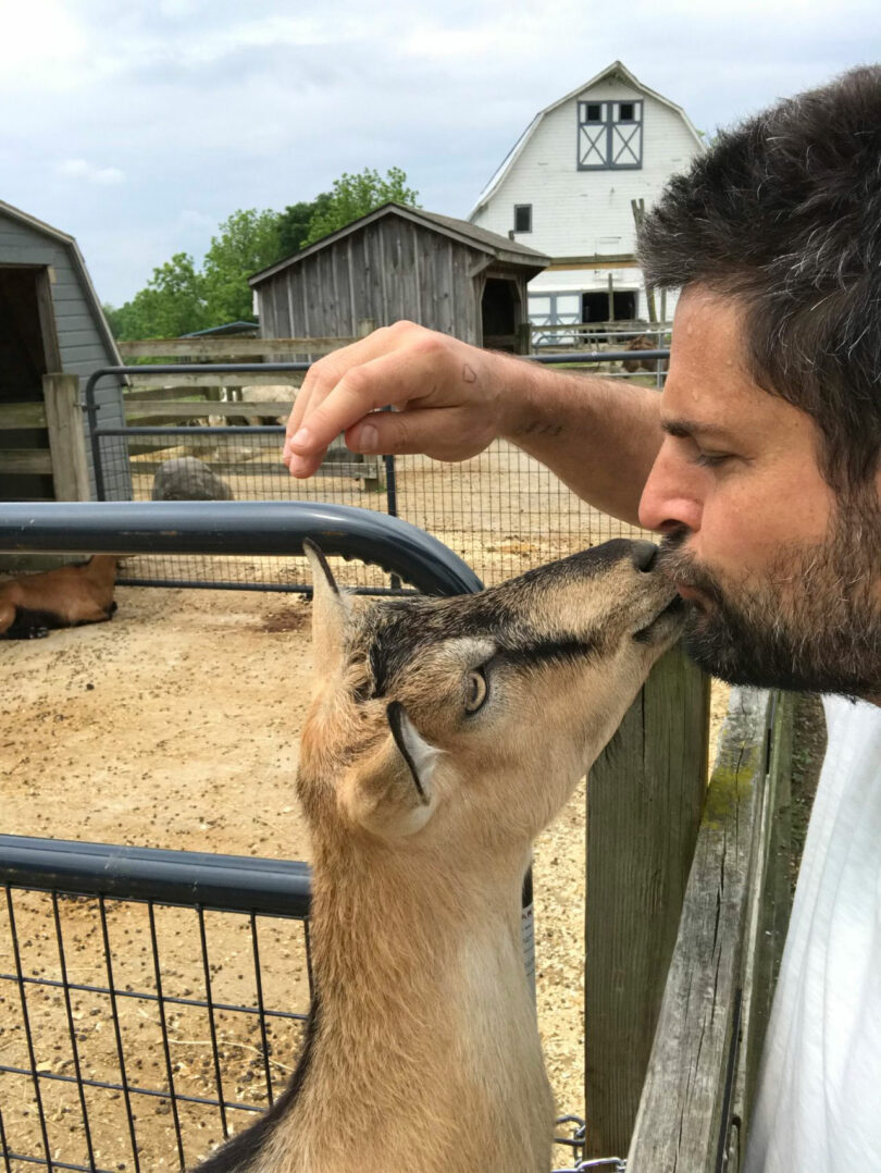 Mark Jupiter is kissing a goat over a metal fence at a farm, with barns and other structures visible in the background.