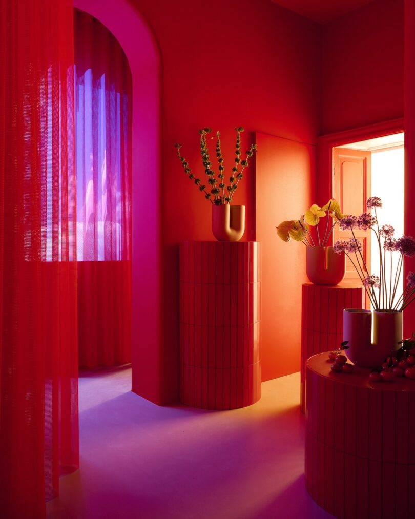 A room with vivid red walls and curtains, featuring cylindrical red pedestals with vases holding various plants, and light entering through an open window