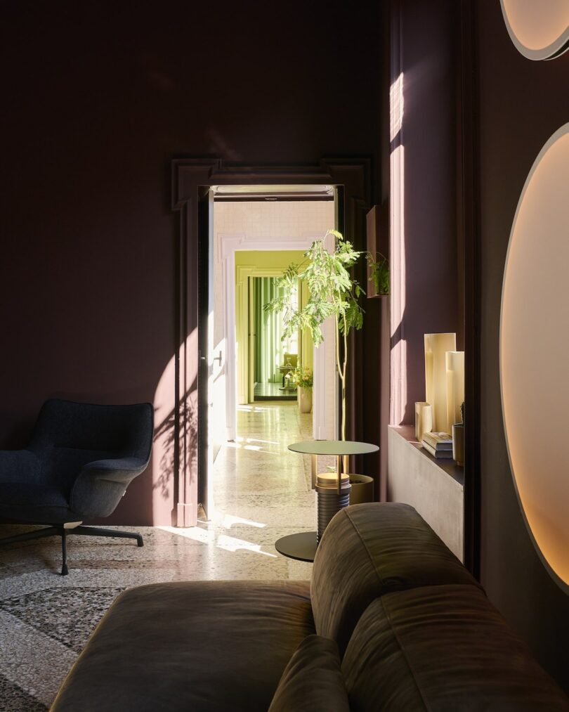 A sunlit modern living room with dark walls, a gray armchair, a brown sofa, a potted plant, and a view through an open doorway to a bright hallway with green accents