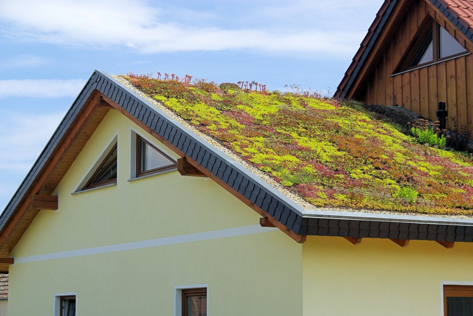 Can Your Existing Roof Handle the Weight of a Garden? ~ Fresh Design Blog